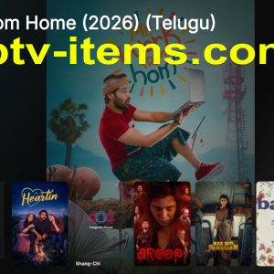 IBO Smarters v1.2 + Panel | Premium IPTV Solution